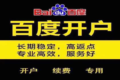 竞价广告投放技巧：如何提高转化率——案例分析